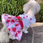 Load image into Gallery viewer, Strawberry dress w/ leash
