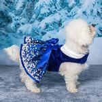 Load image into Gallery viewer, Blue snow flake dress w/ matching leash
