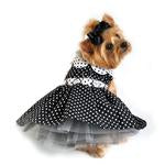 Black and white Polk a dot dress w/ matching leash